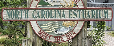 Finding Positive Change in a Monumental Challenge