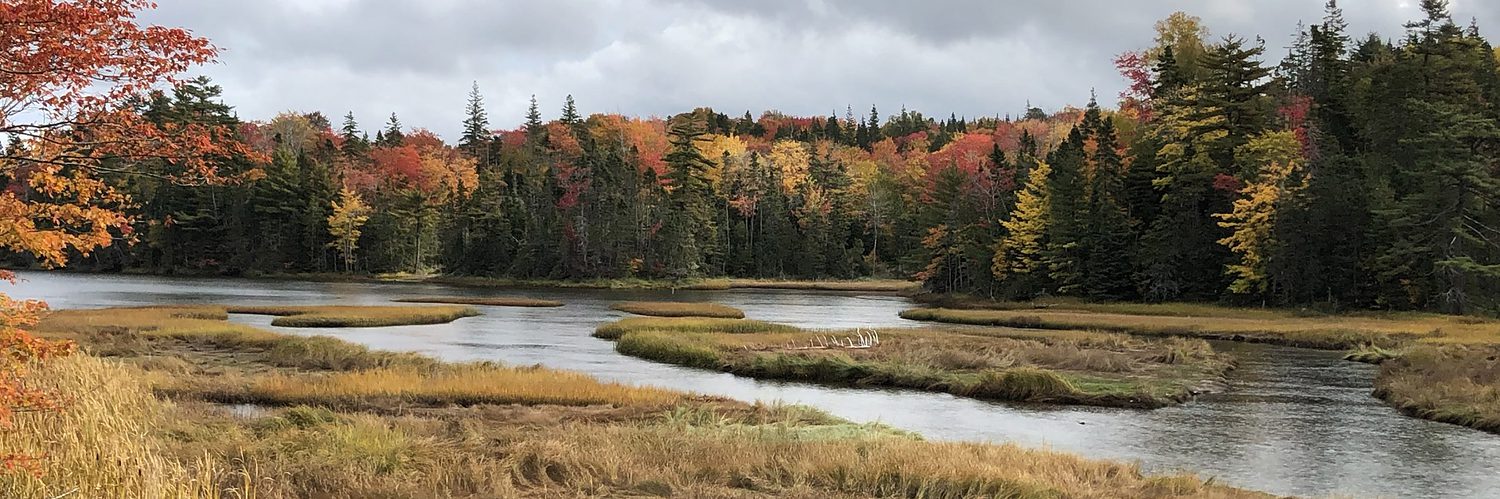 Happy 23 Years After Tragedy