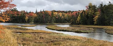 Happy 23 Years After Tragedy